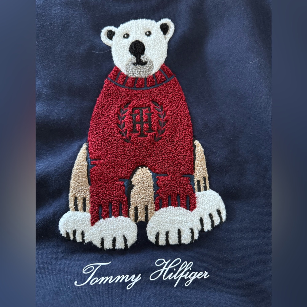 Tommy Hilfiger Red Polar Bear Sweater Preppy Academia - Picture 8 of 8